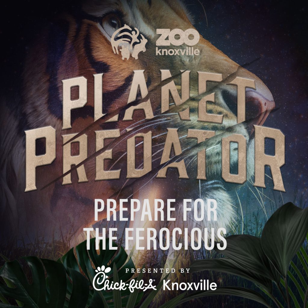 Planet Predator Promo